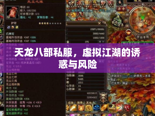 天龙八部私服，虚拟江湖的诱惑与风险