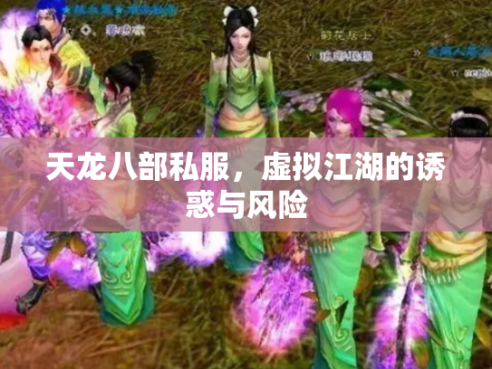 天龙八部私服，虚拟江湖的诱惑与风险