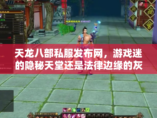 天龙八部私服发布网，游戏迷的隐秘天堂还是法律边缘的灰色地带？