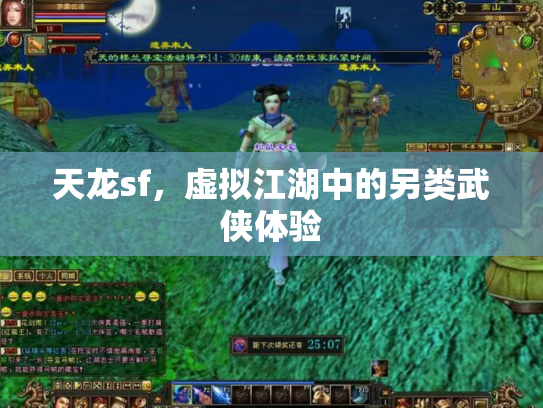 天龙sf，虚拟江湖中的另类武侠体验