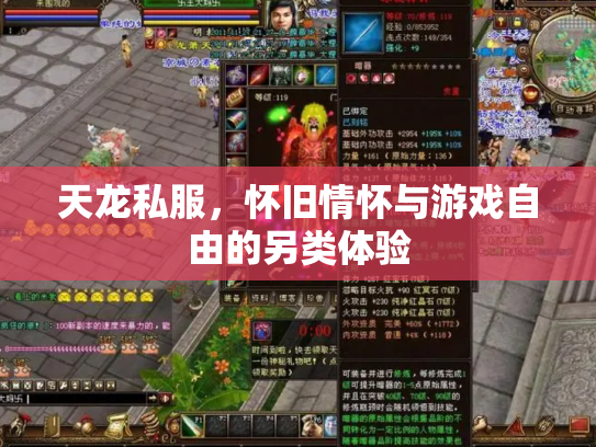 天龙私服，怀旧情怀与游戏自由的另类体验
