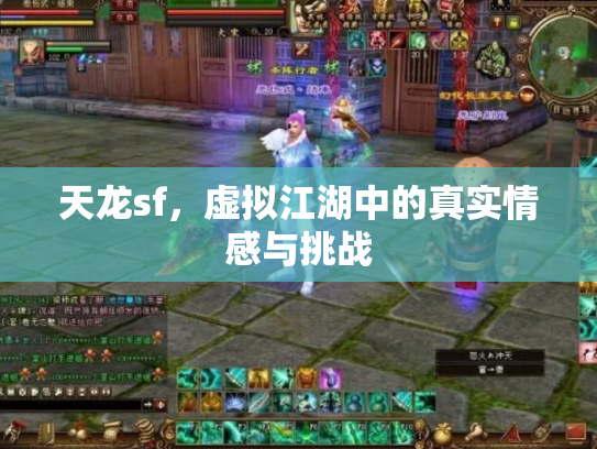天龙sf，虚拟江湖中的真实情感与挑战