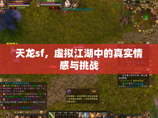 天龙sf，虚拟江湖中的真实情感与挑战