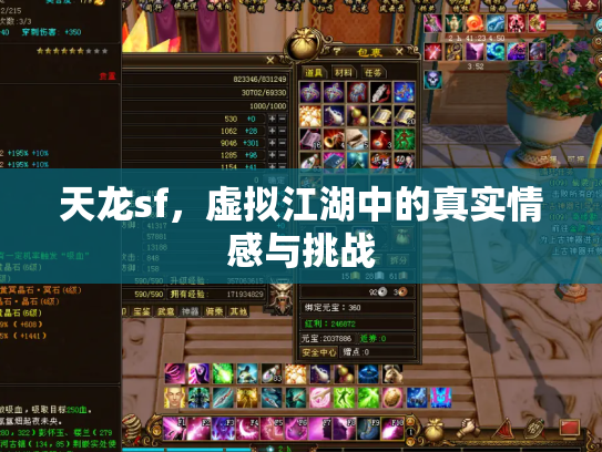 天龙sf，虚拟江湖中的真实情感与挑战
