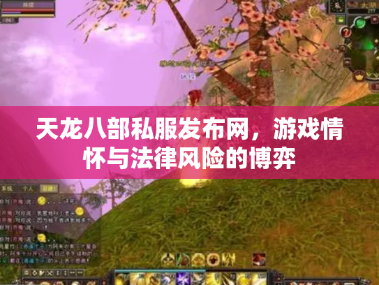 天龙八部私服发布网，游戏情怀与法律风险的博弈