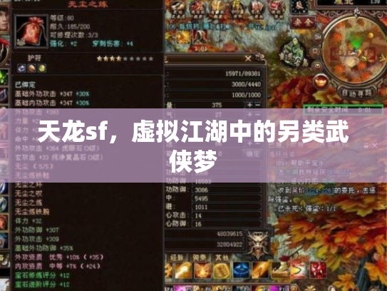 天龙sf，虚拟江湖中的另类武侠梦
