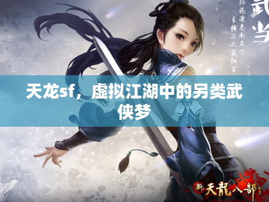 天龙sf，虚拟江湖中的另类武侠梦