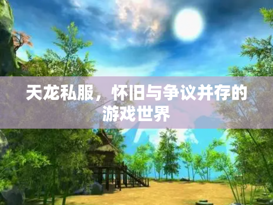 天龙私服，怀旧与争议并存的游戏世界
