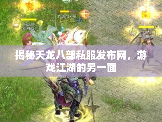 揭秘天龙八部私服发布网，游戏江湖的另一面