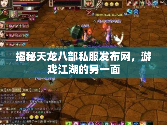 揭秘天龙八部私服发布网，游戏江湖的另一面