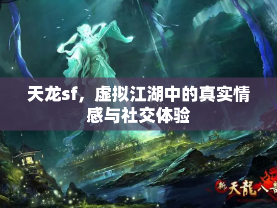 天龙sf，虚拟江湖中的真实情感与社交体验