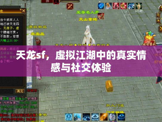 天龙sf，虚拟江湖中的真实情感与社交体验