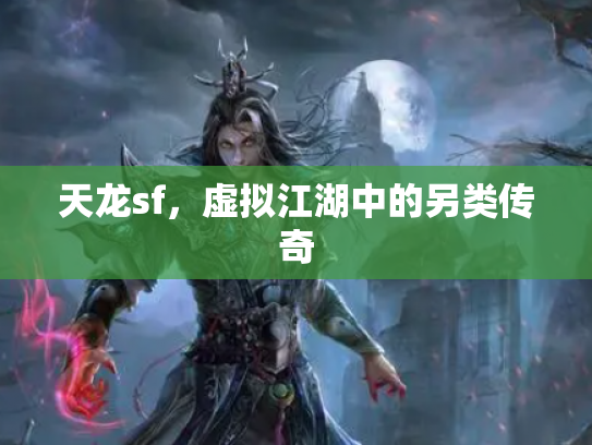 天龙sf，虚拟江湖中的另类传奇