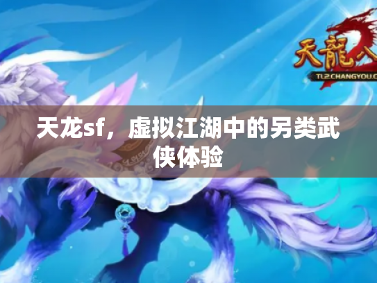 天龙sf，虚拟江湖中的另类武侠体验