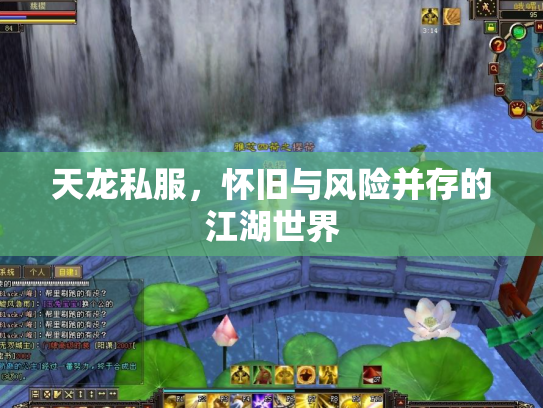 天龙私服，怀旧与风险并存的江湖世界