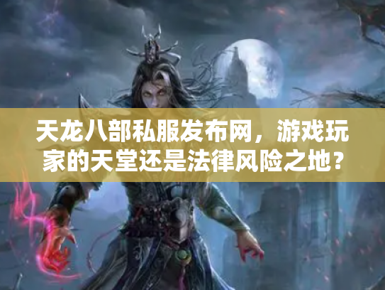 天龙八部私服发布网，游戏玩家的天堂还是法律风险之地？