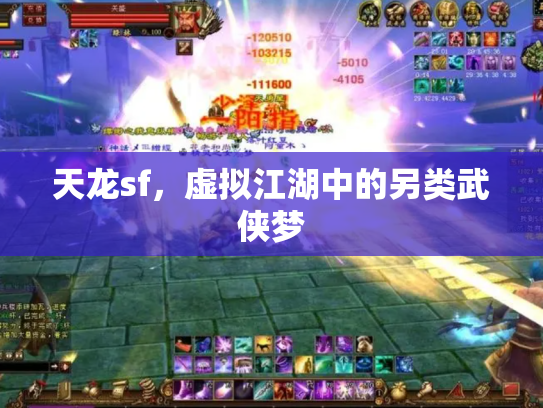 天龙sf，虚拟江湖中的另类武侠梦