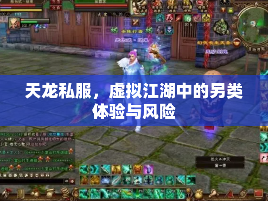 天龙私服，虚拟江湖中的另类体验与风险