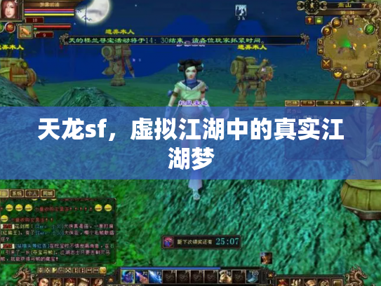天龙sf，虚拟江湖中的真实江湖梦