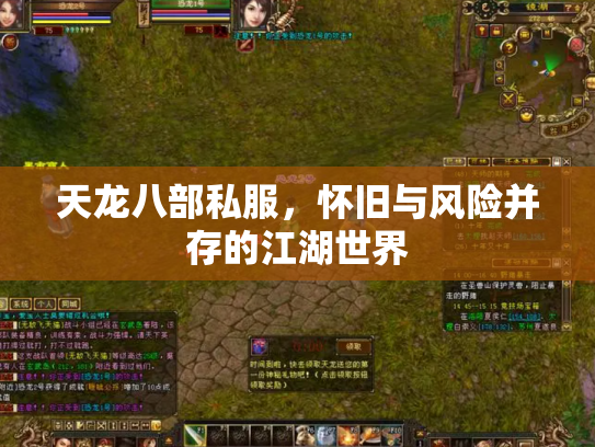 天龙八部私服，怀旧与风险并存的江湖世界