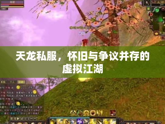 天龙私服，怀旧与争议并存的虚拟江湖