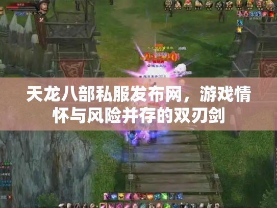 天龙八部私服发布网，游戏情怀与风险并存的双刃剑