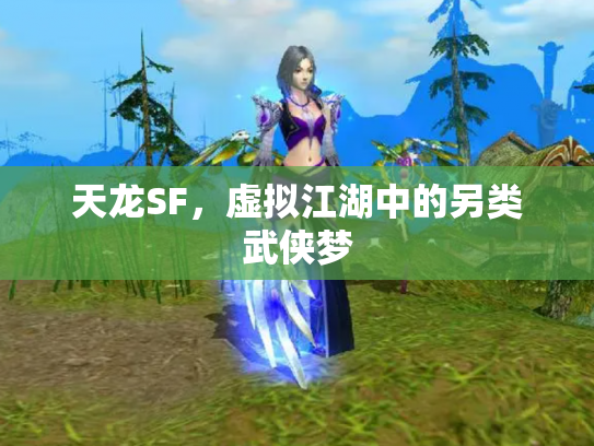 天龙SF，虚拟江湖中的另类武侠梦