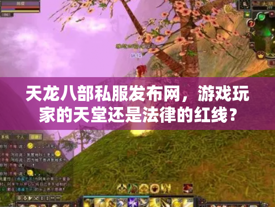天龙八部私服发布网，游戏玩家的天堂还是法律的红线？