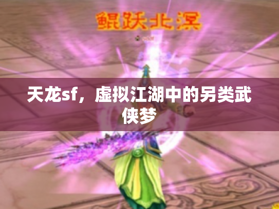 天龙sf，虚拟江湖中的另类武侠梦