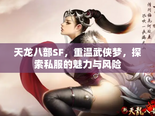 天龙八部SF，重温武侠梦，探索私服的魅力与风险