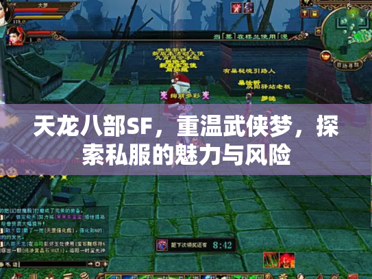 天龙八部SF，重温武侠梦，探索私服的魅力与风险