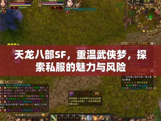 天龙八部SF，重温武侠梦，探索私服的魅力与风险
