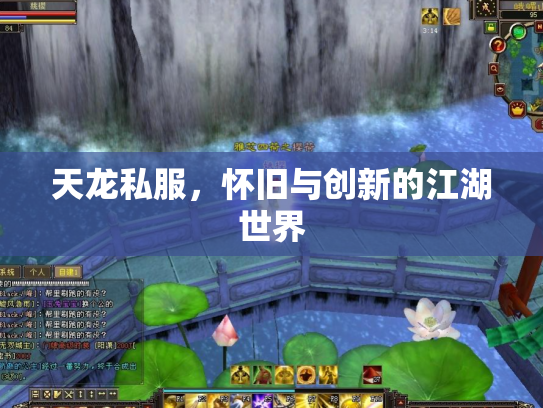 天龙私服，怀旧与创新的江湖世界
