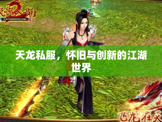天龙私服，怀旧与创新的江湖世界
