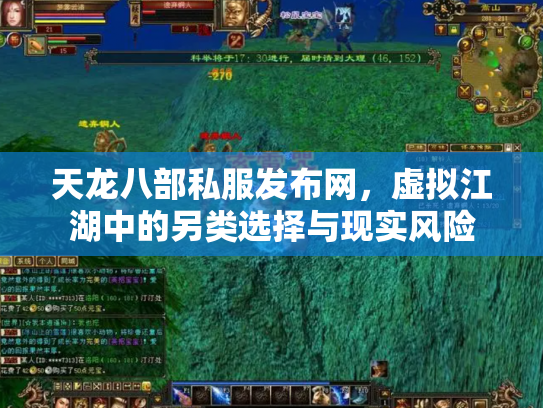 天龙八部私服发布网，虚拟江湖中的另类选择与现实风险