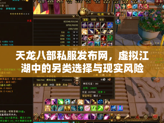 天龙八部私服发布网，虚拟江湖中的另类选择与现实风险