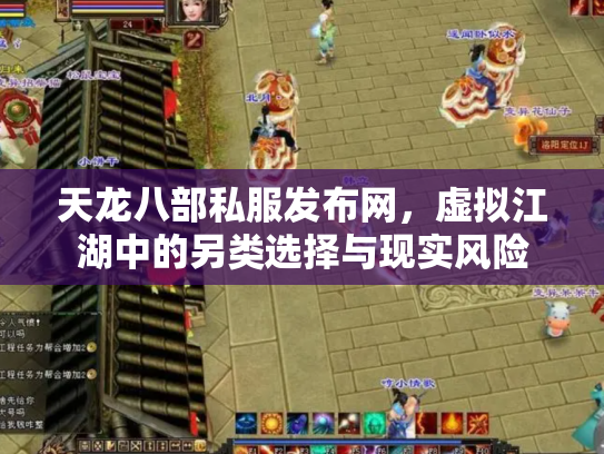 天龙八部私服发布网，虚拟江湖中的另类选择与现实风险