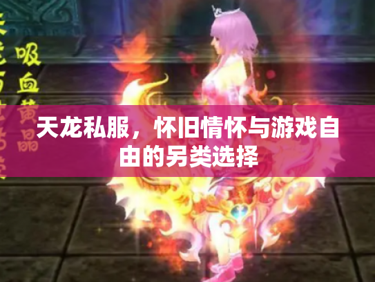 天龙私服，怀旧情怀与游戏自由的另类选择