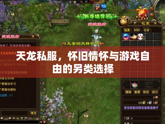 天龙私服，怀旧情怀与游戏自由的另类选择
