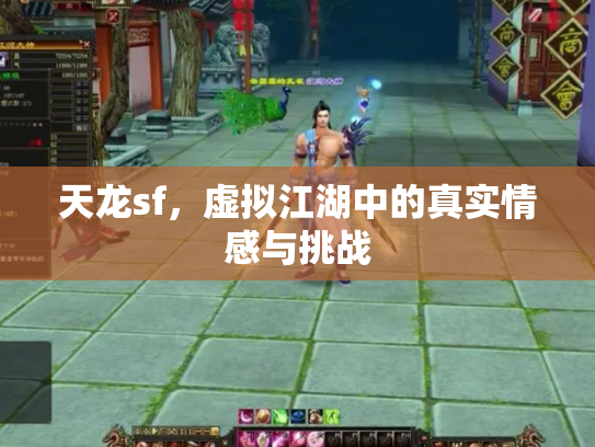 天龙sf，虚拟江湖中的真实情感与挑战
