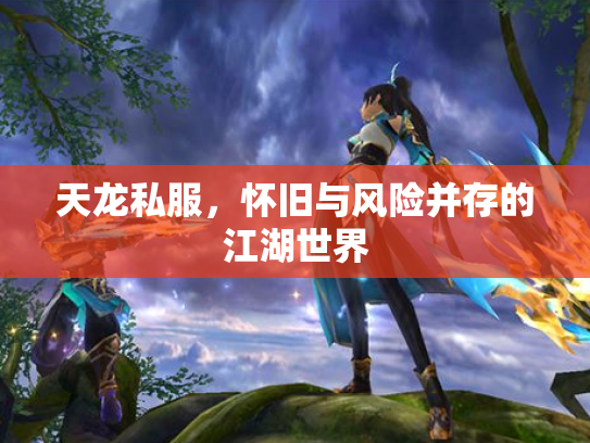 天龙私服，怀旧与风险并存的江湖世界