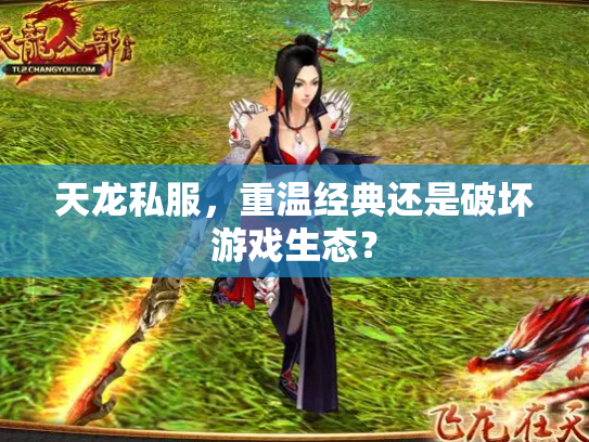 天龙私服，重温经典还是破坏游戏生态？