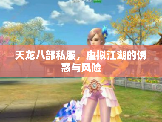 天龙八部私服，虚拟江湖的诱惑与风险