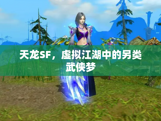 天龙SF，虚拟江湖中的另类武侠梦