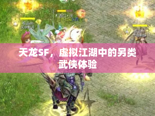 天龙SF，虚拟江湖中的另类武侠体验