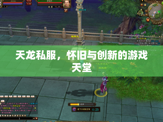 天龙私服，怀旧与创新的游戏天堂