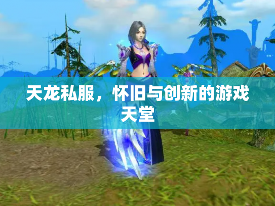 天龙私服，怀旧与创新的游戏天堂