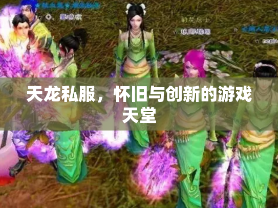 天龙私服，怀旧与创新的游戏天堂
