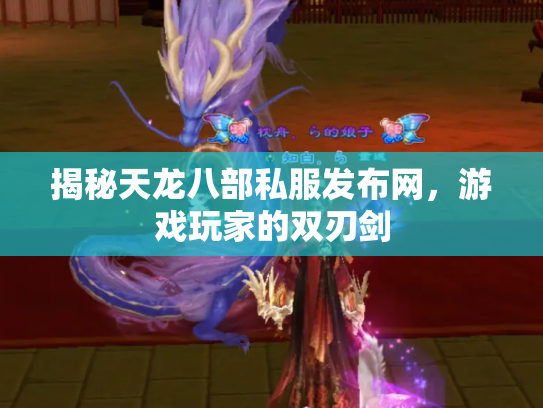 揭秘天龙八部私服发布网，游戏玩家的双刃剑