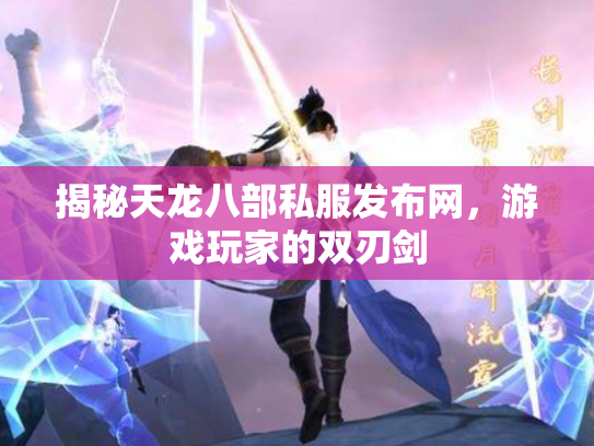 揭秘天龙八部私服发布网，游戏玩家的双刃剑